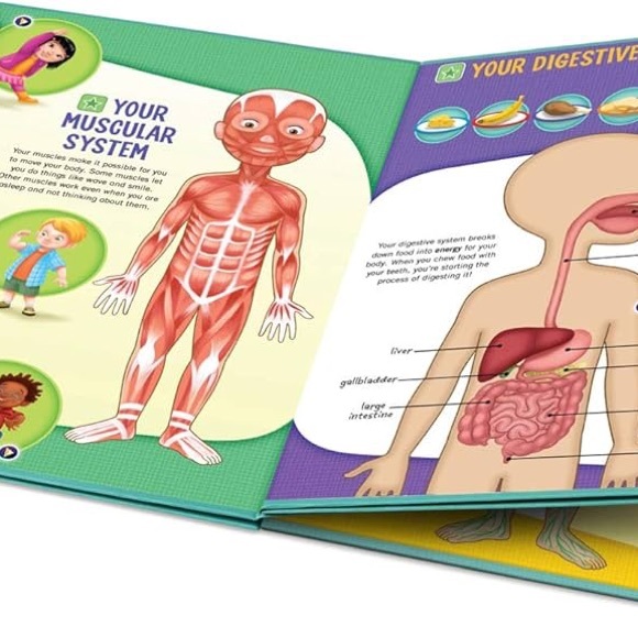 LeapFrog Tag Interactive Human Body
Discovery Pack Board - Picture 4 of 12